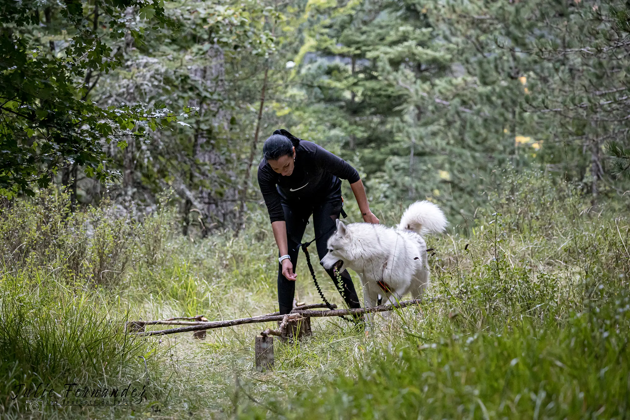 Cani-Parcours - Édition 2024 - Canifun