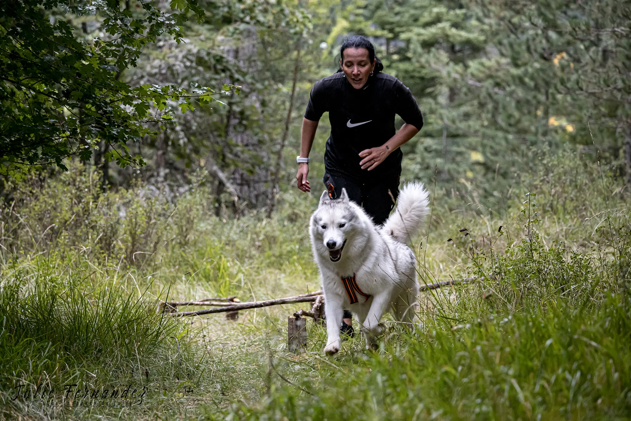 Cani-Parcours - Édition 2024 - Canifun