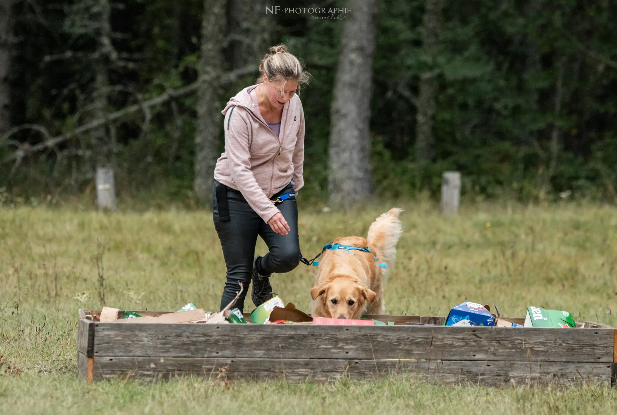 Cani-Parcours - Édition 2024 - Canifun