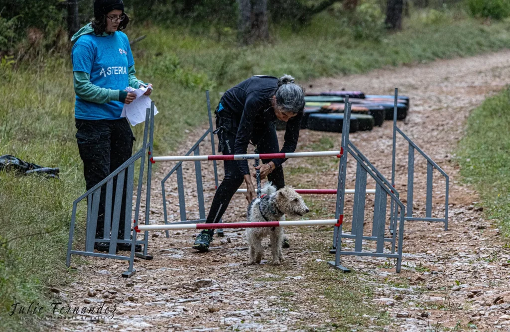 Cani-Parcours - Édition 2024 - Canifun