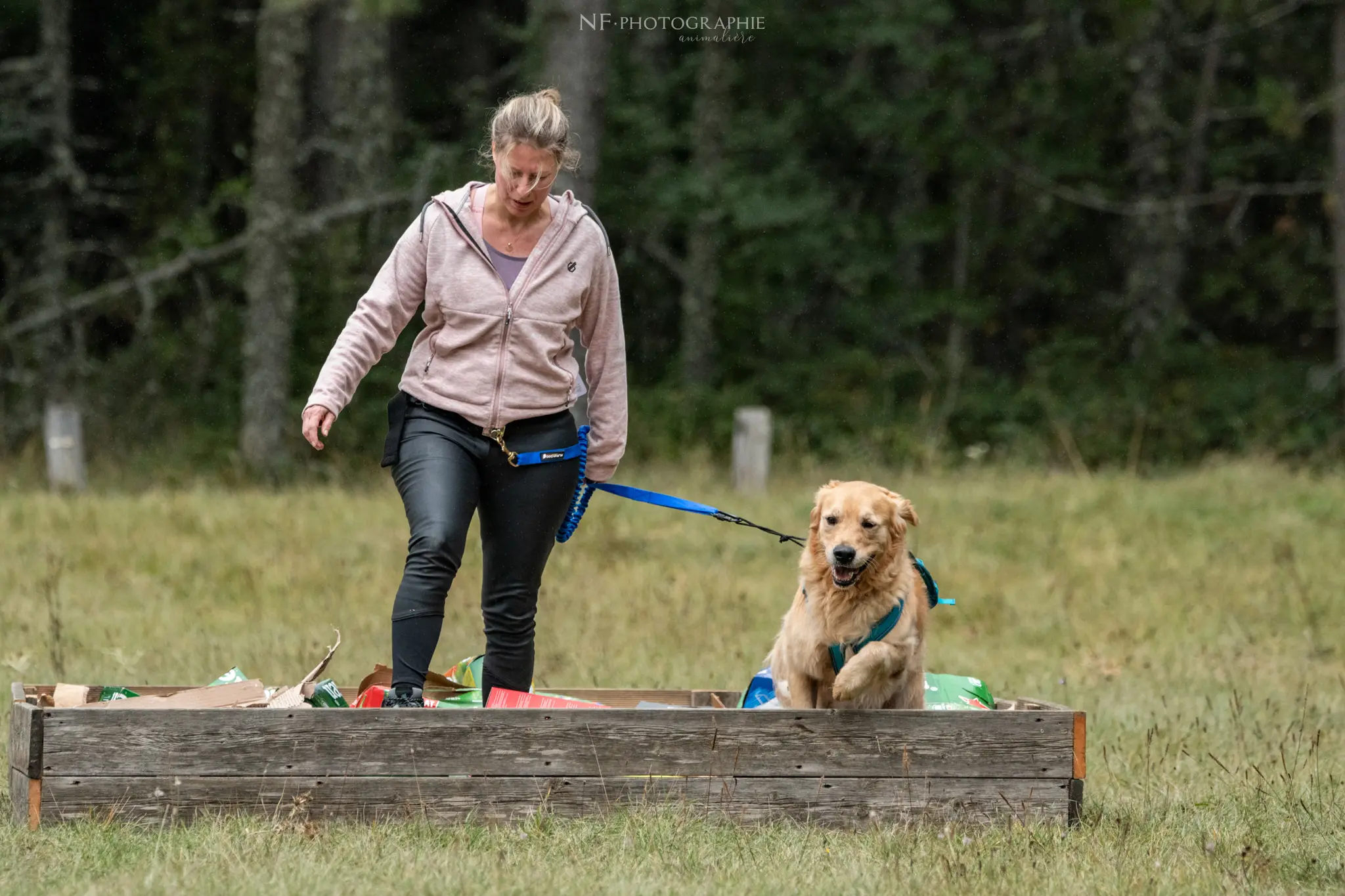 Cani-Parcours - Édition 2024 - Canifun