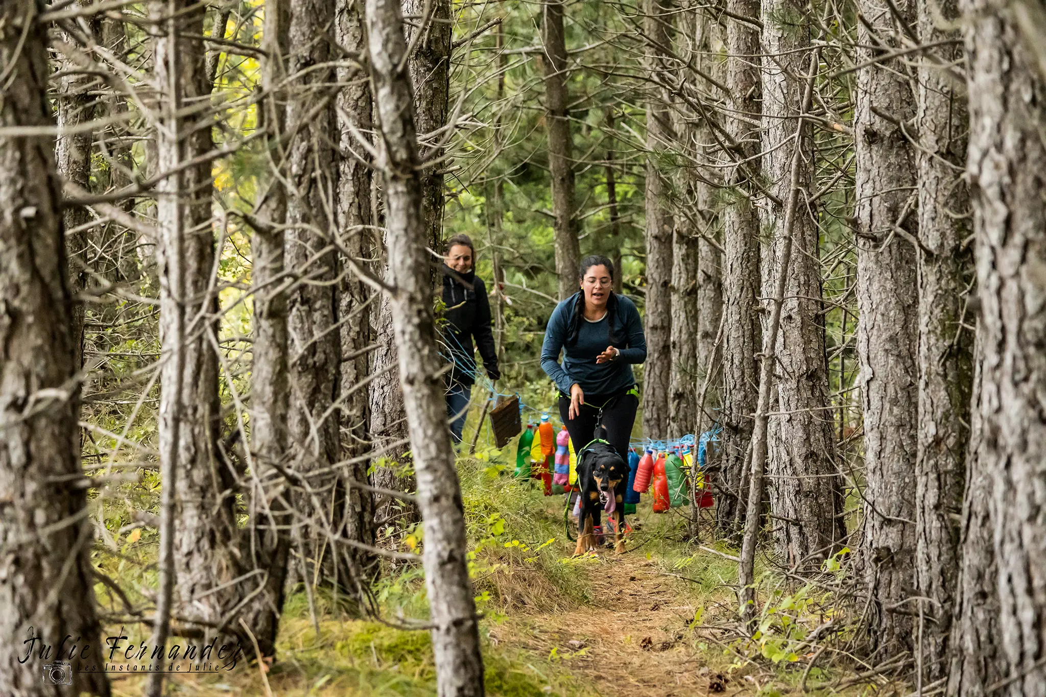 Cani-Parcours - Édition 2024 - Canifun