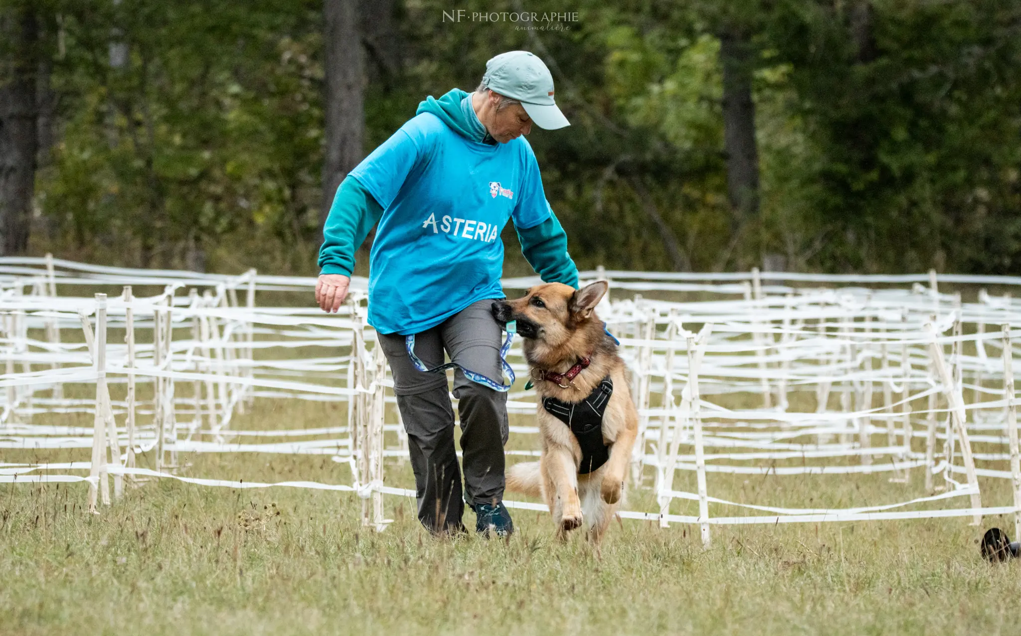 Cani-Parcours - Édition 2024 - Canifun