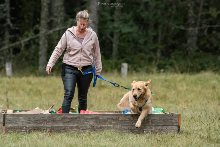 Cani-Parcours - Édition 2024 - Canifun