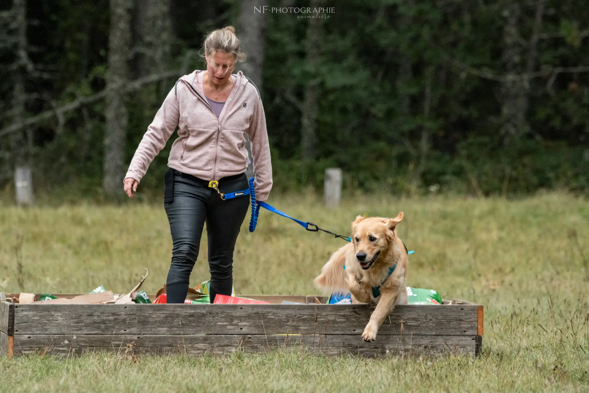 Cani-Parcours - Édition 2024 - Canifun