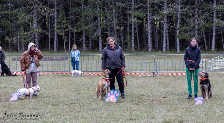 Concours de Beauté - Édition 2024 - Canifun