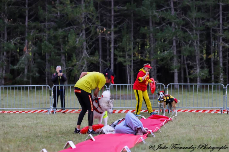 Défilé de Déguisements - Édition 2024 - Canifun