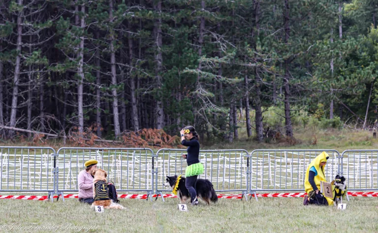 Défilé de Déguisements - Édition 2024 - Canifun