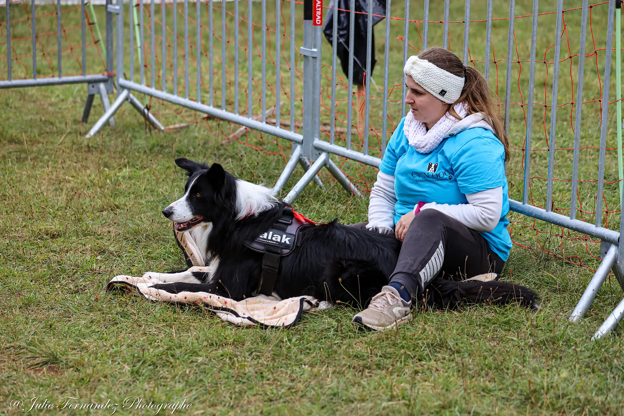 Massage Canin - Édition 2024 - Canifun