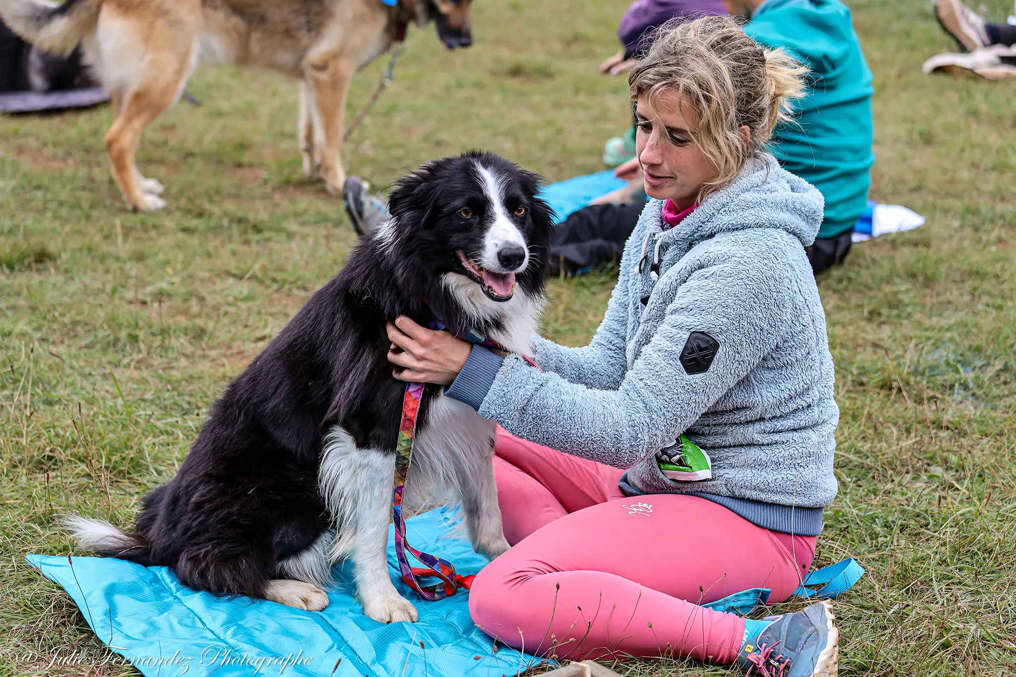 Massage Canin - Édition 2024 - Canifun