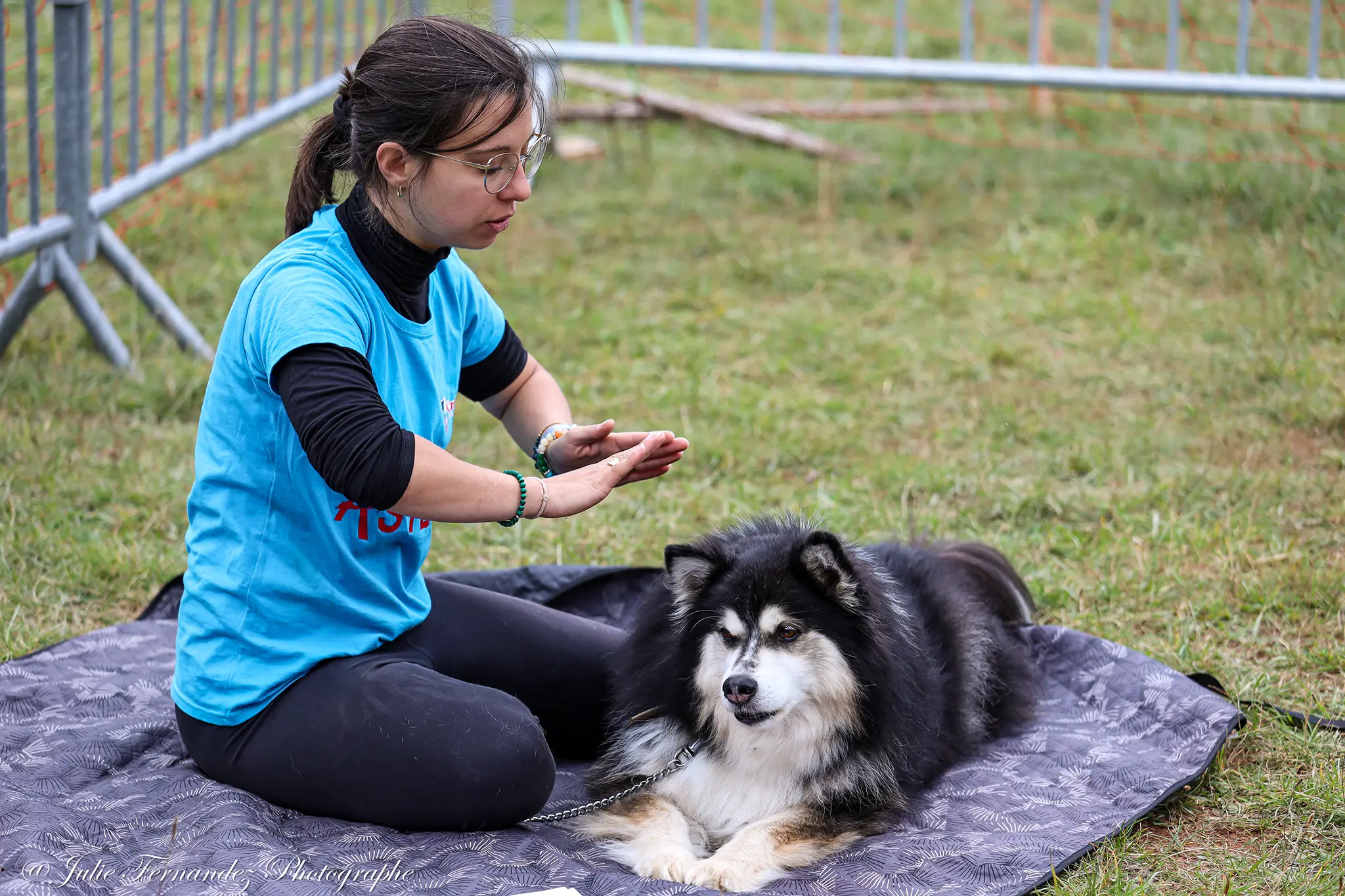 Massage Canin - Édition 2024 - Canifun