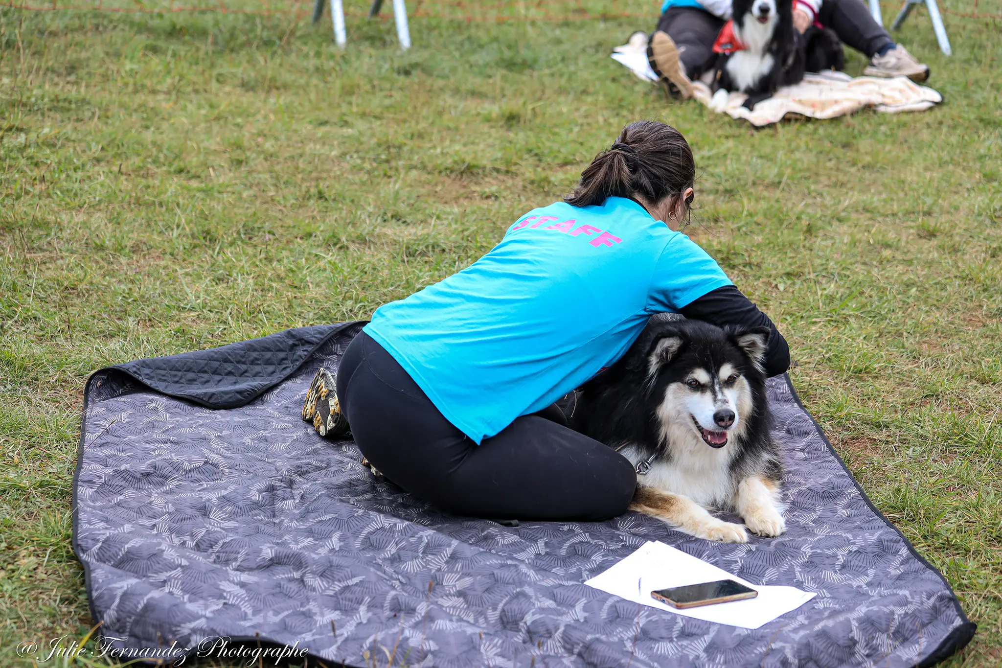 Massage Canin - Édition 2024 - Canifun