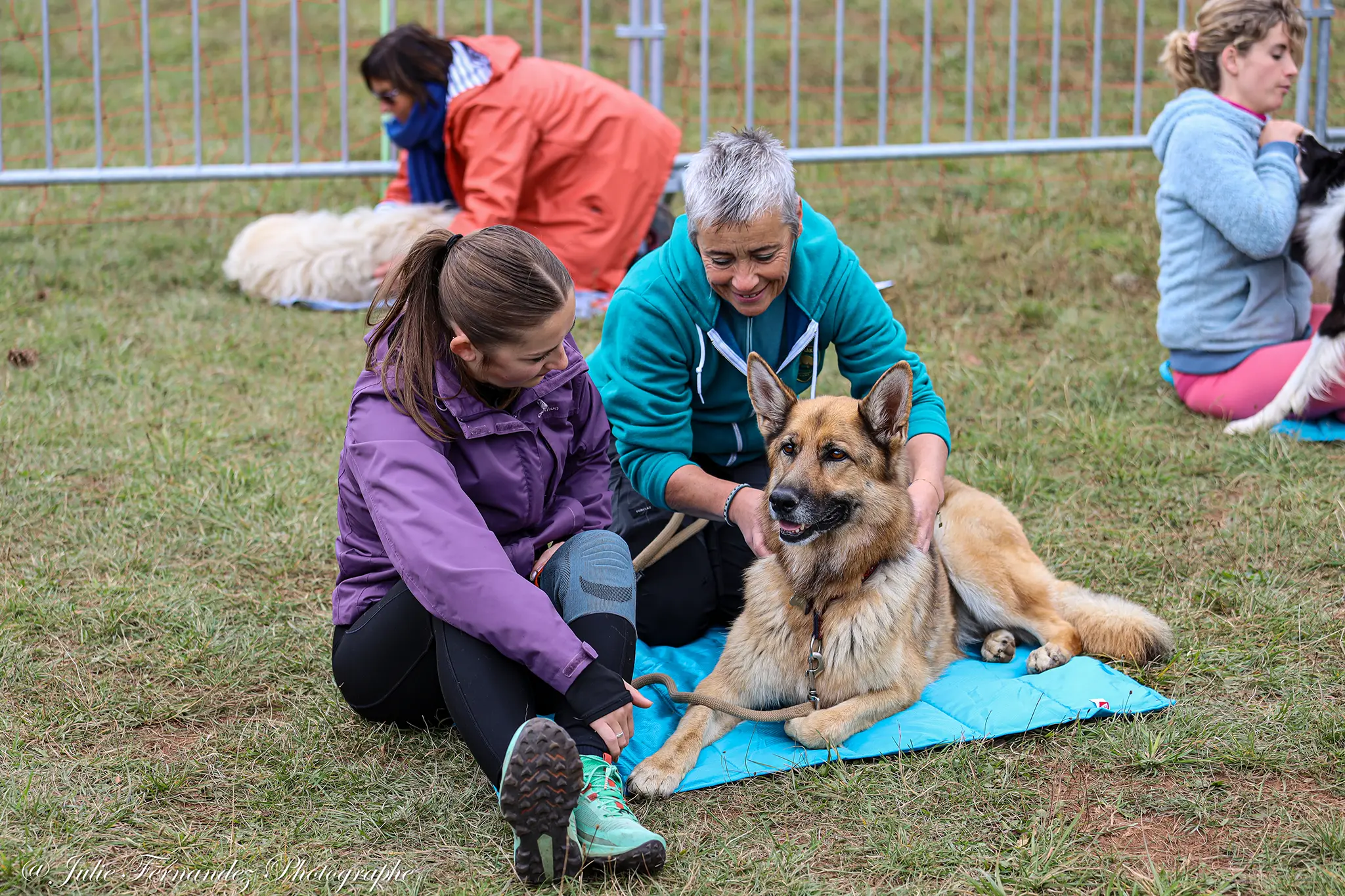 Massage Canin - Édition 2024 - Canifun