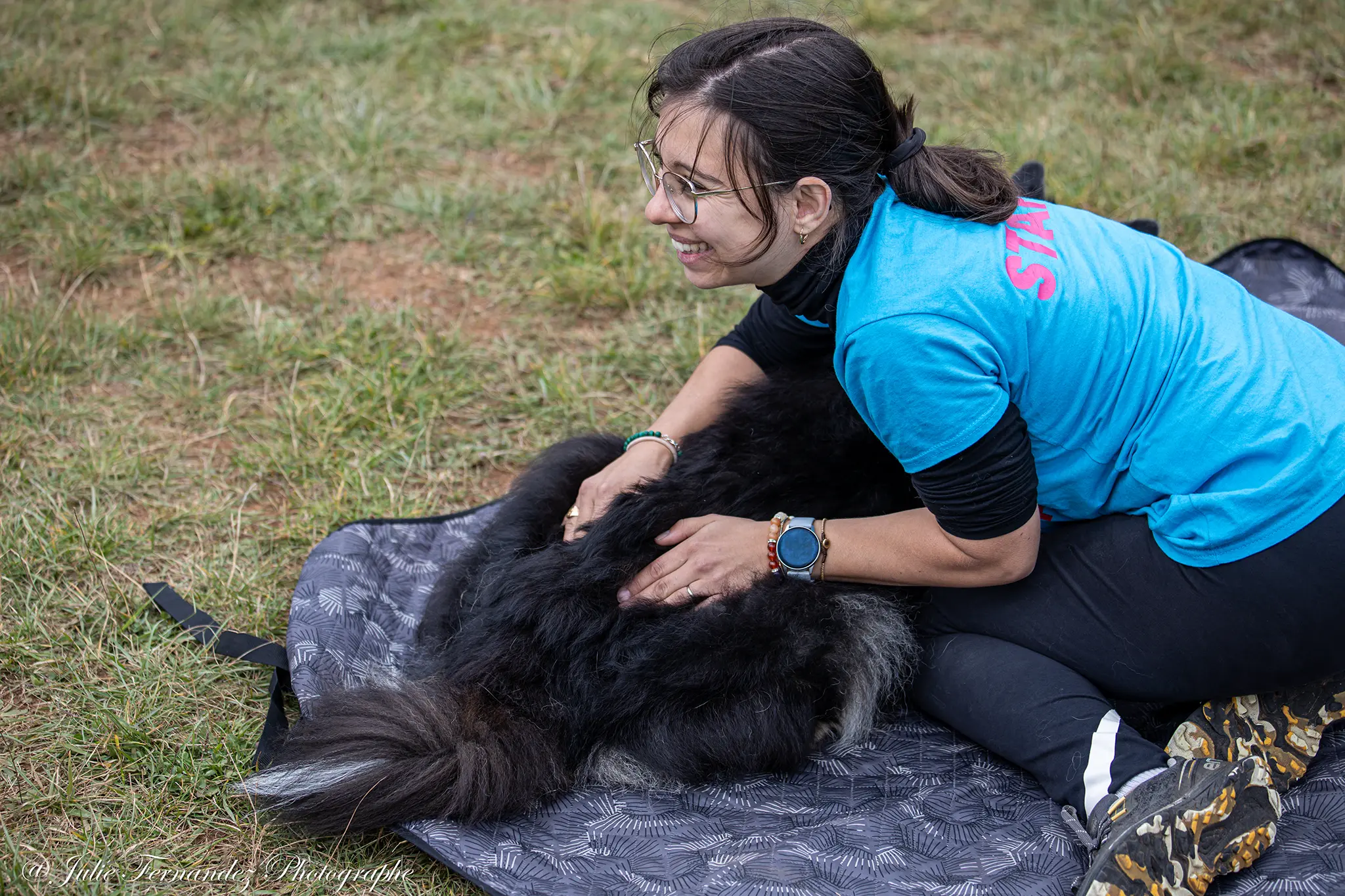 Massage Canin - Édition 2024 - Canifun