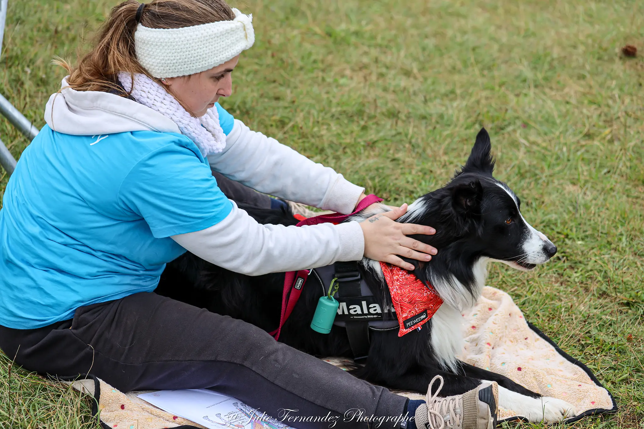 Massage Canin - Édition 2024 - Canifun