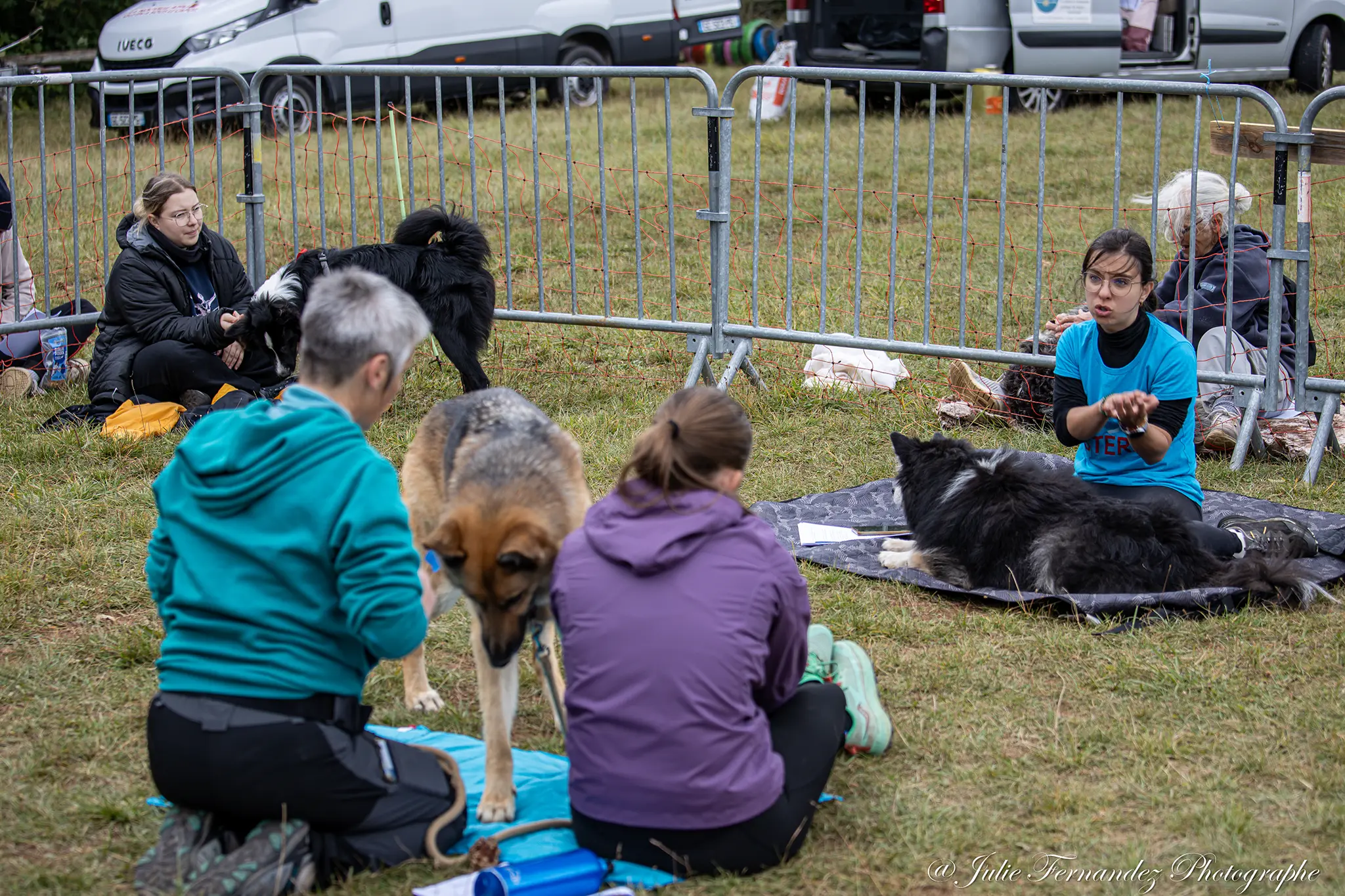 Massage Canin - Édition 2024 - Canifun