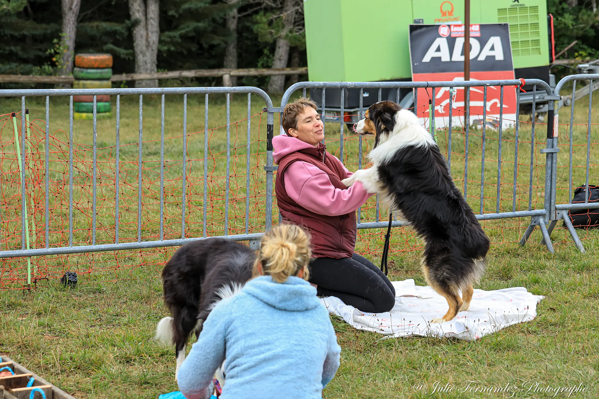 Massage Canin - Édition 2024 - Canifun