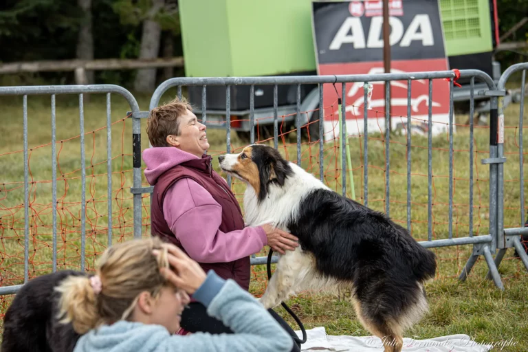 Massage Canin - Édition 2024 - Canifun