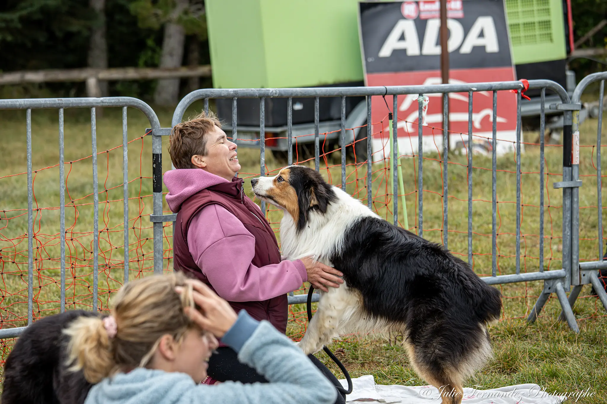 Massage Canin - Édition 2024 - Canifun