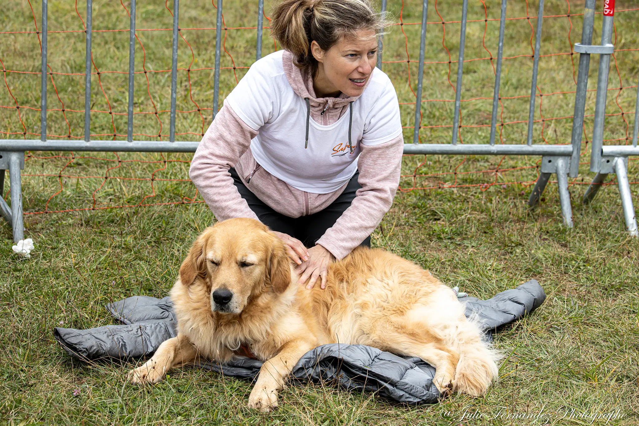 Massage Canin - Édition 2024 - Canifun