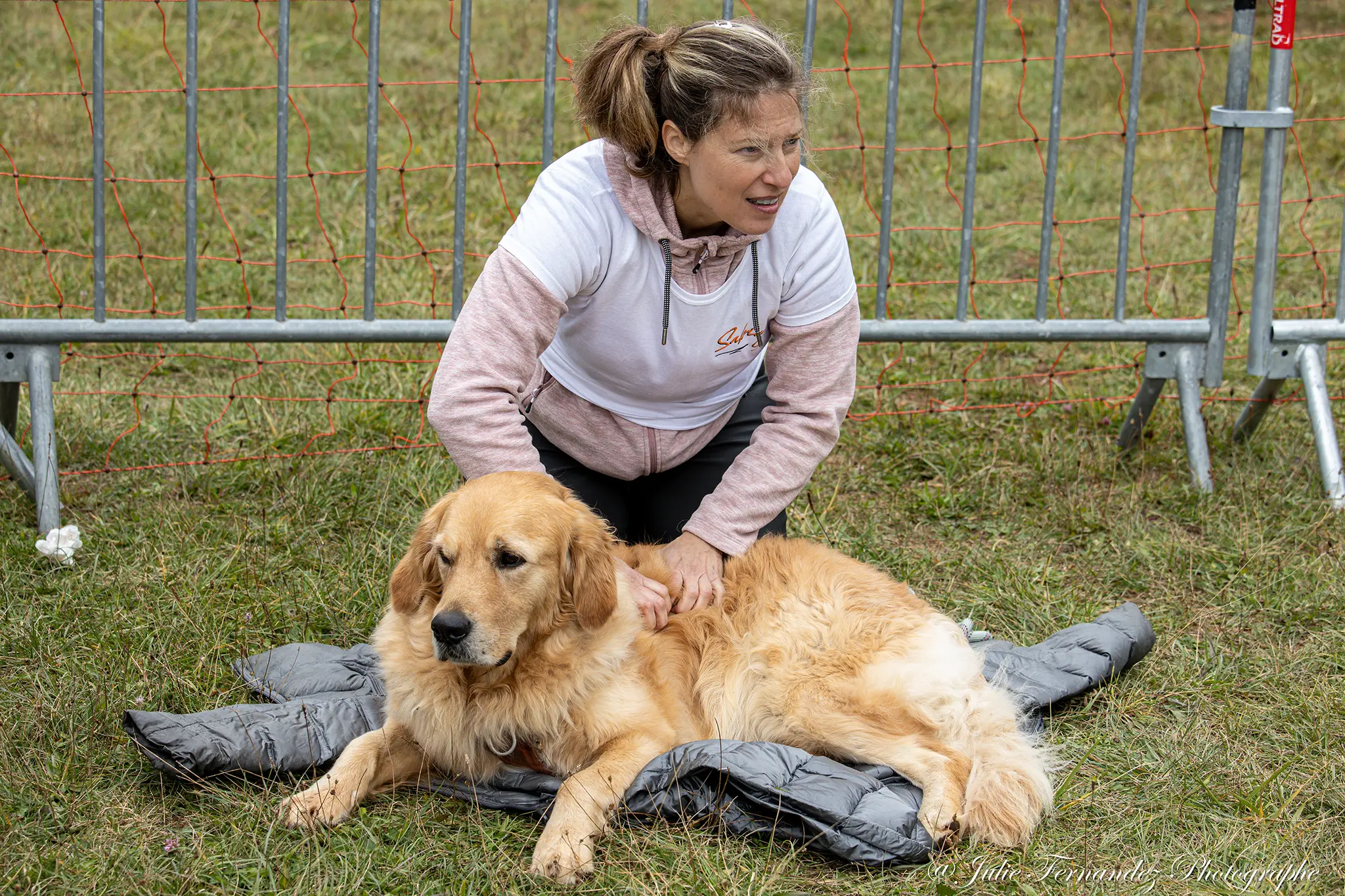 Massage Canin - Édition 2024 - Canifun