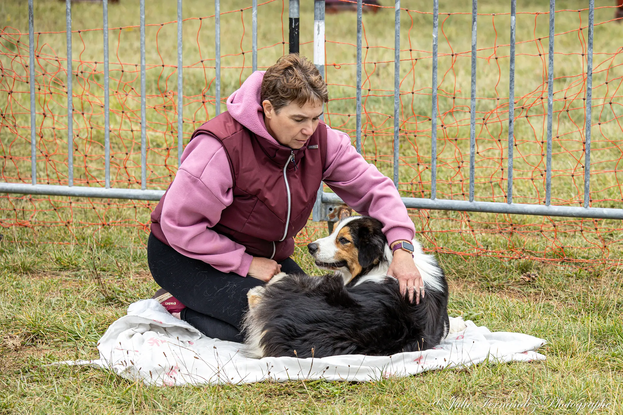 Massage Canin - Édition 2024 - Canifun