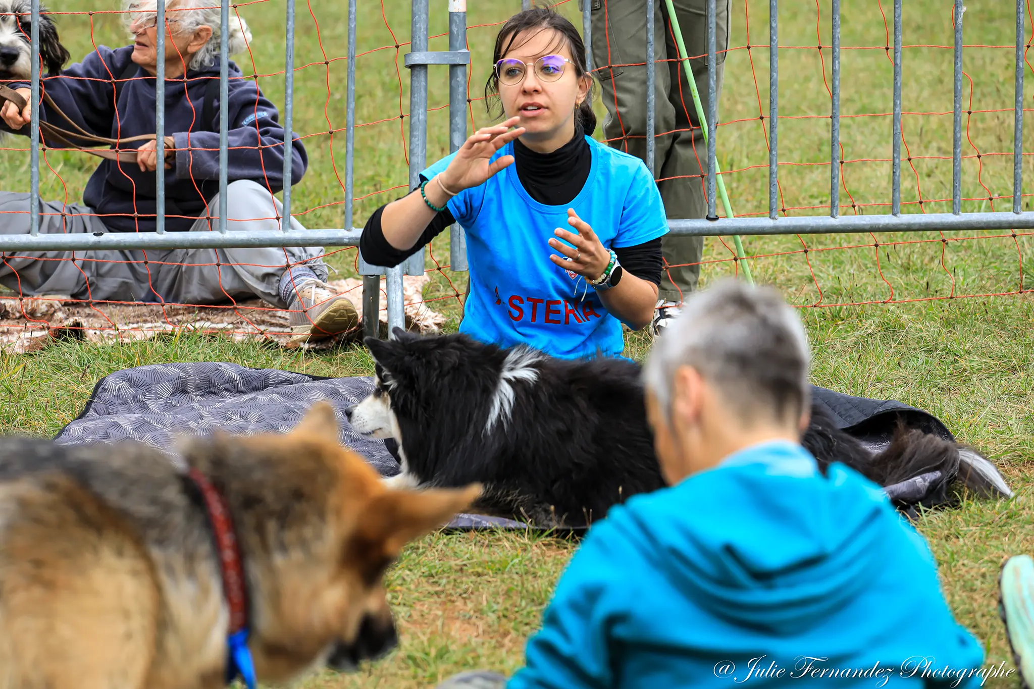 Massage Canin - Édition 2024 - Canifun