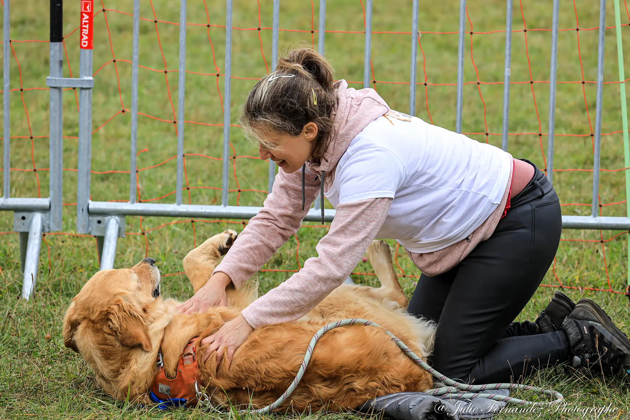 Massage Canin - Édition 2024 - Canifun