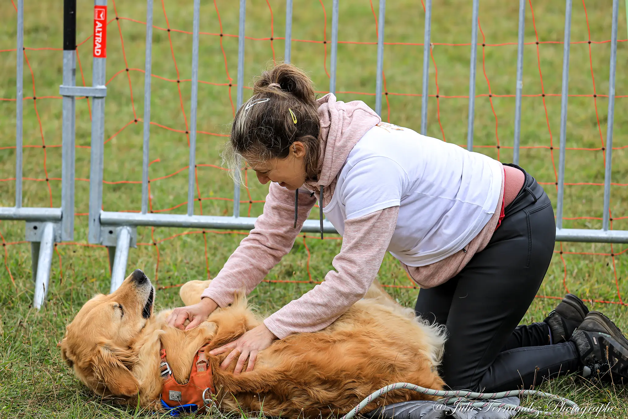 Massage Canin - Édition 2024 - Canifun