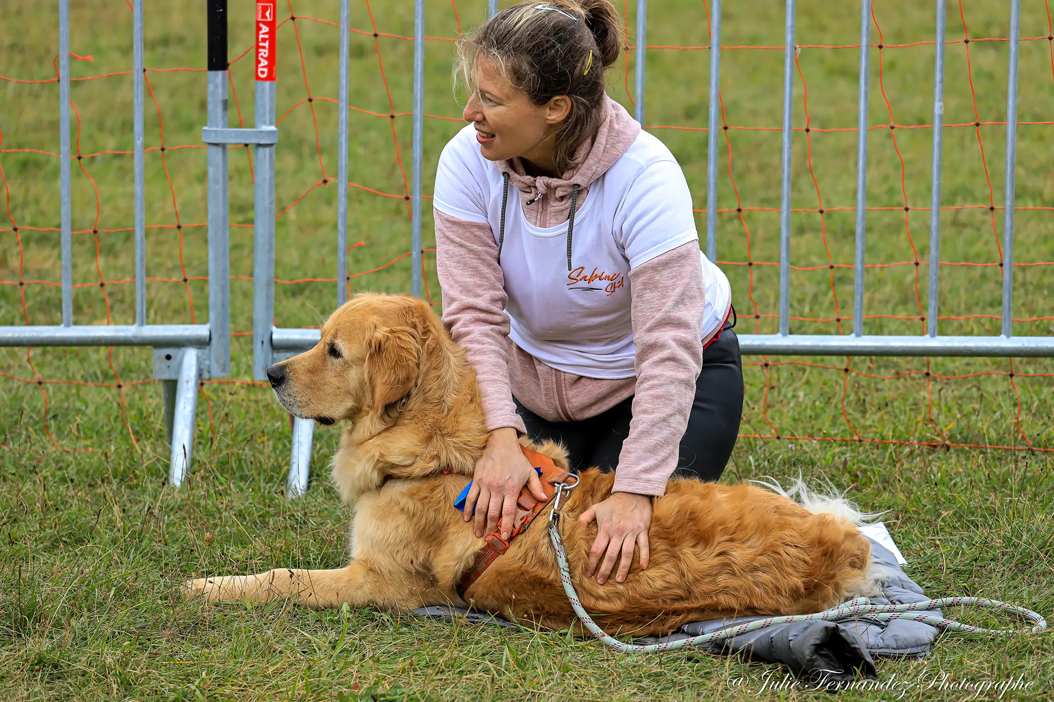 Massage Canin - Édition 2024 - Canifun