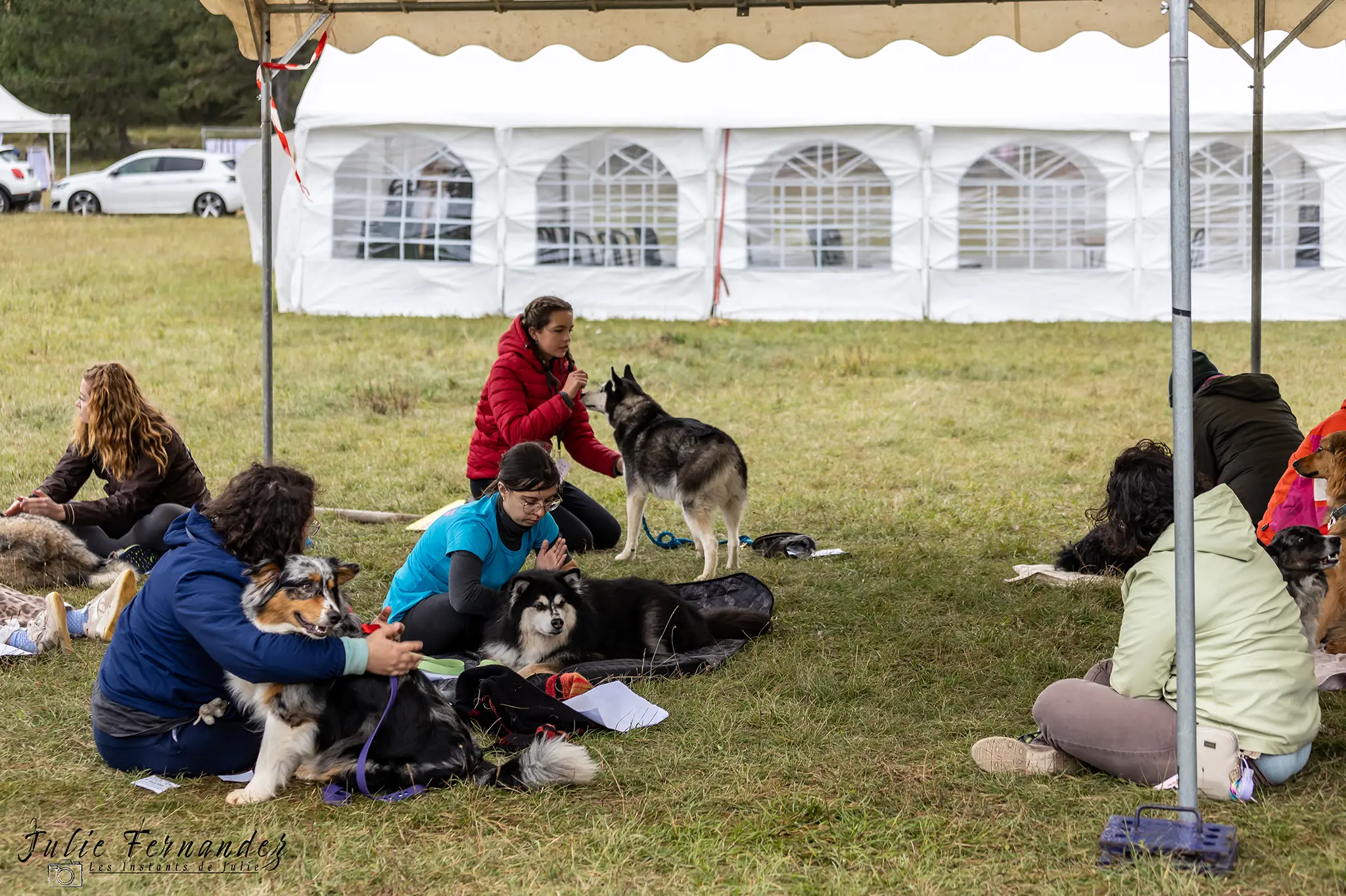 Massage Canin - Édition 2024 - Canifun