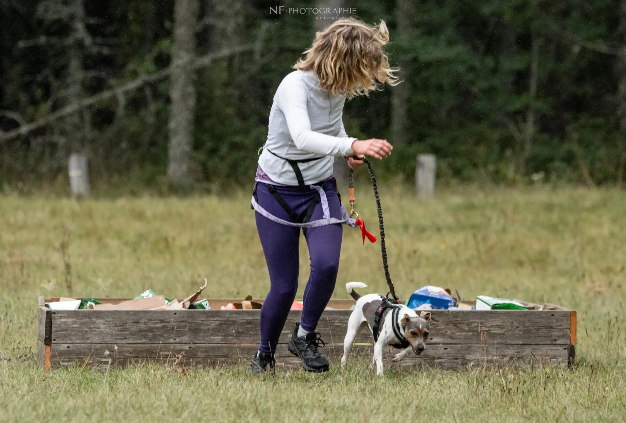 Cani-Parcours - Édition 2024 - Canifun