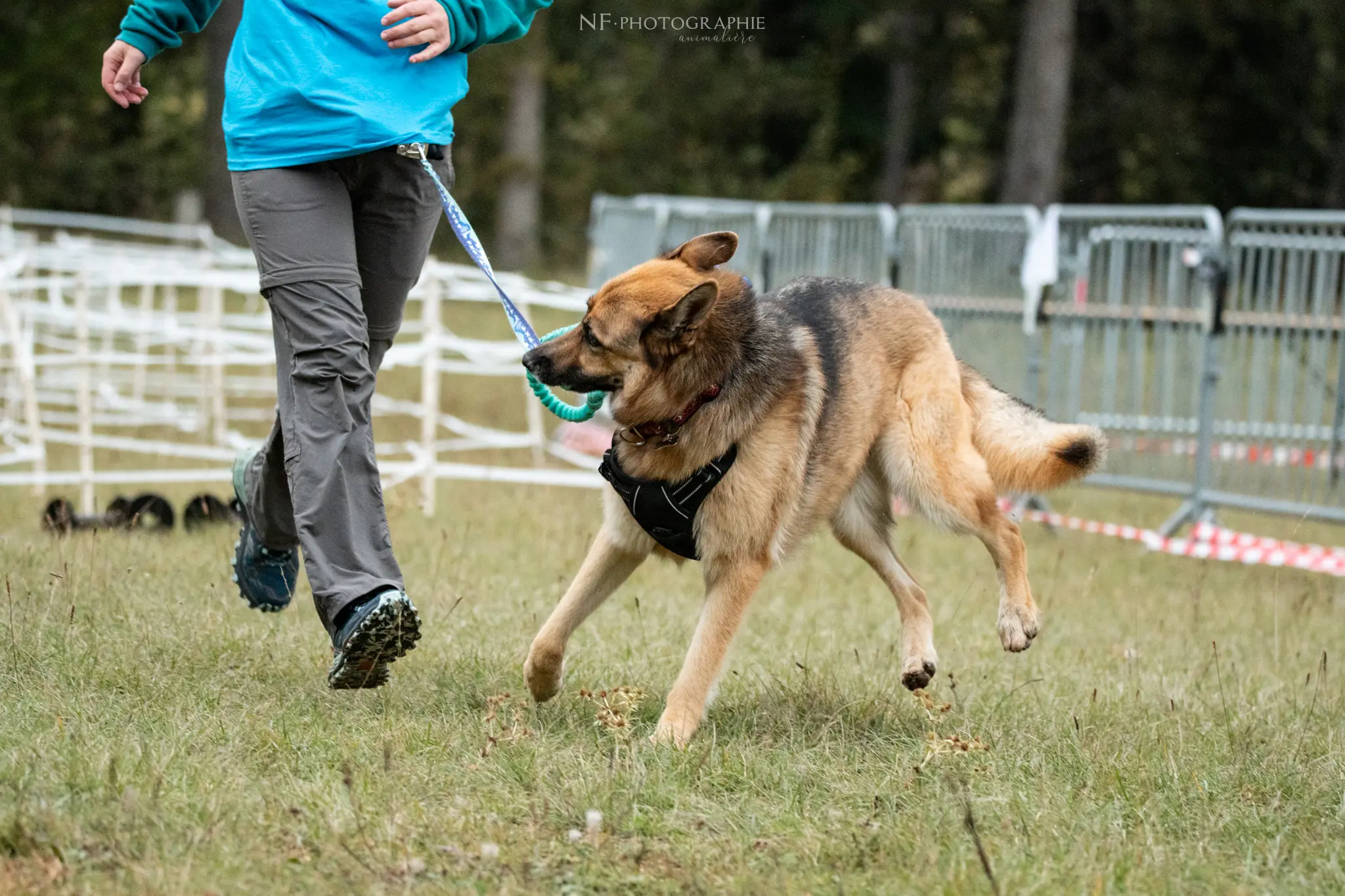 Cani-Parcours - Édition 2024 - Canifun