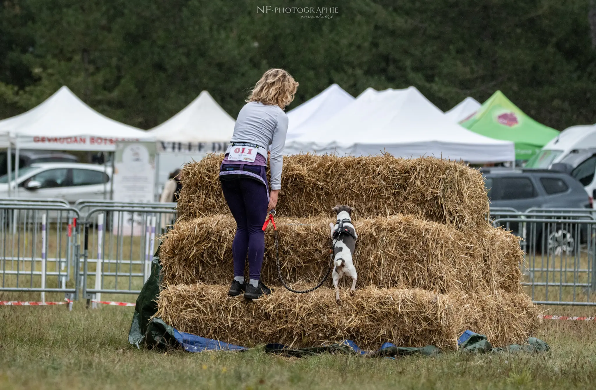 Cani-Parcours - Édition 2024 - Canifun