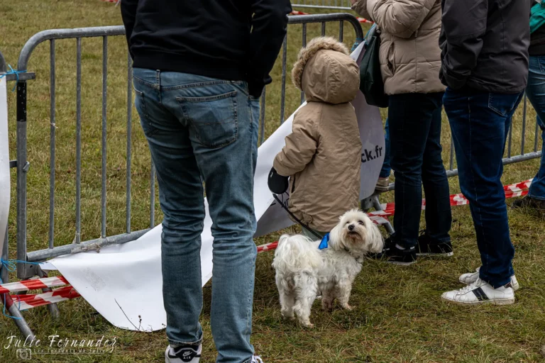 Village - Dimanche - Édition 2024 - Canifun