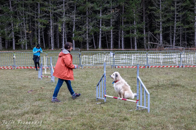 Village - Dimanche - Édition 2024 - Canifun