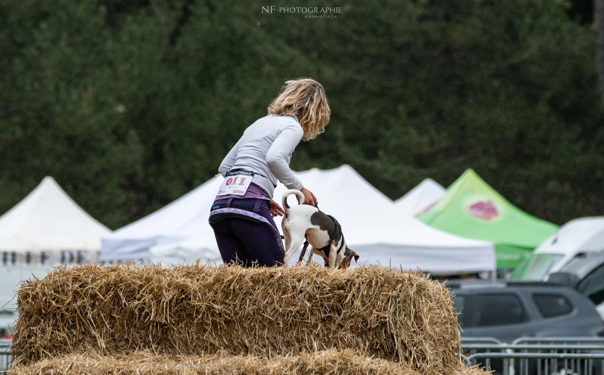 Cani-Parcours - Édition 2024 - Canifun