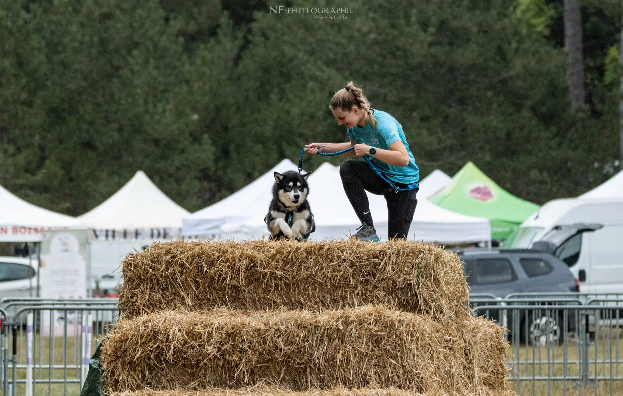 Cani-Parcours - Édition 2024 - Canifun