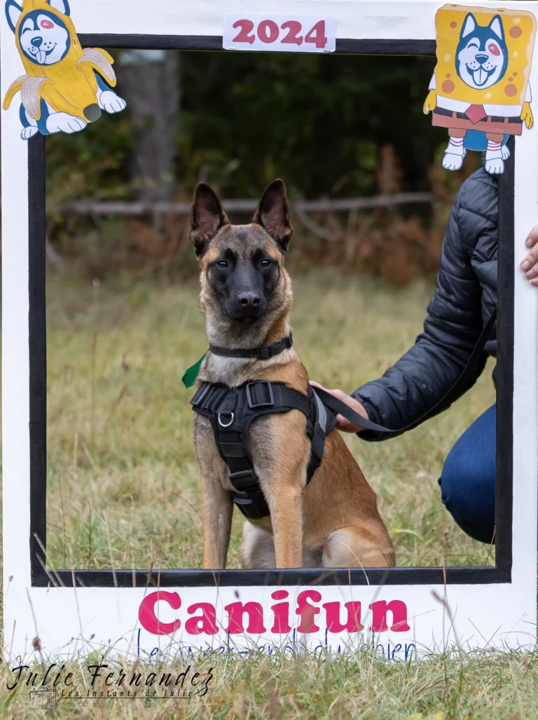 Village - Dimanche - Édition 2024 - Canifun