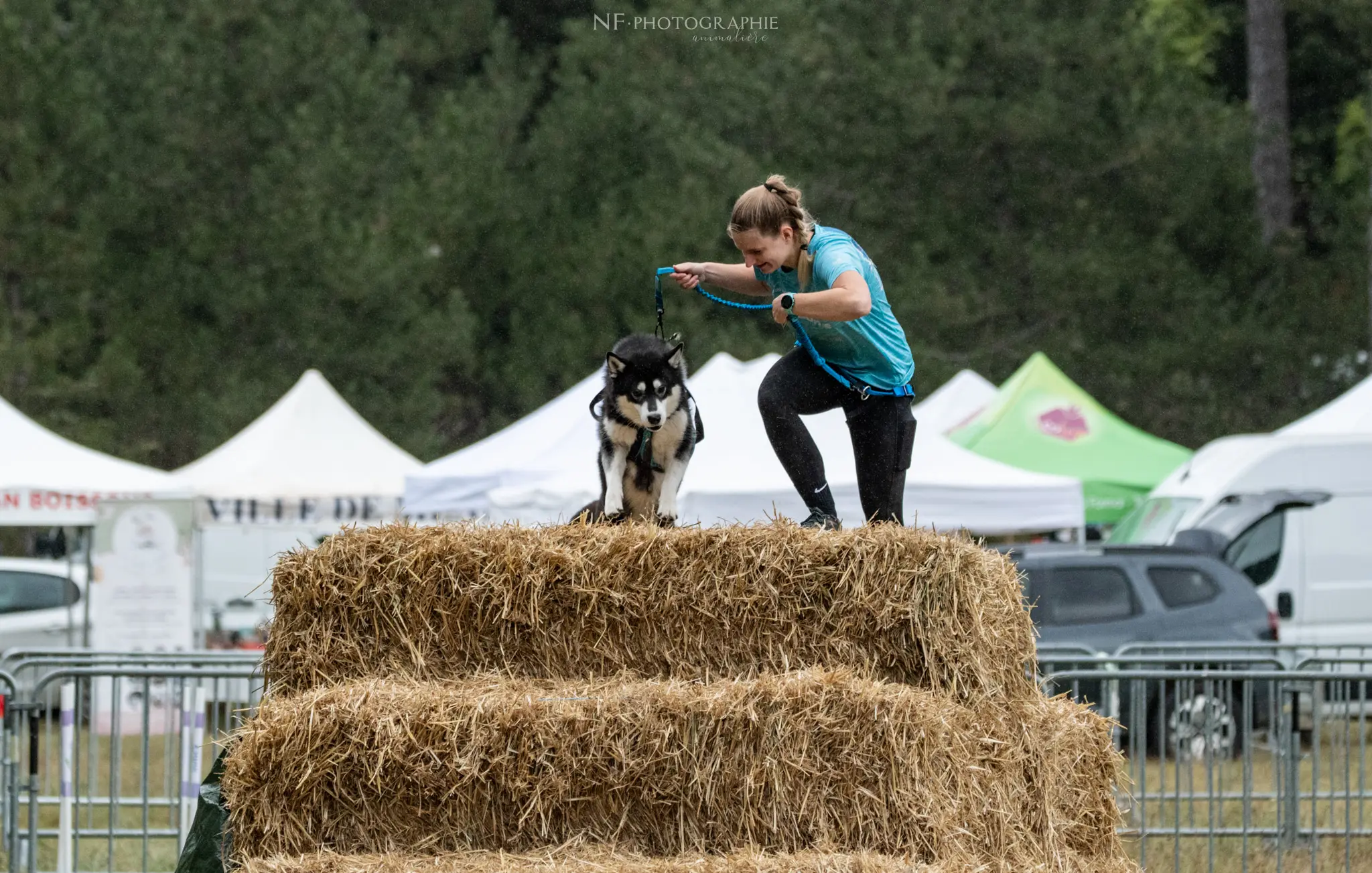 Cani-Parcours - Édition 2024 - Canifun