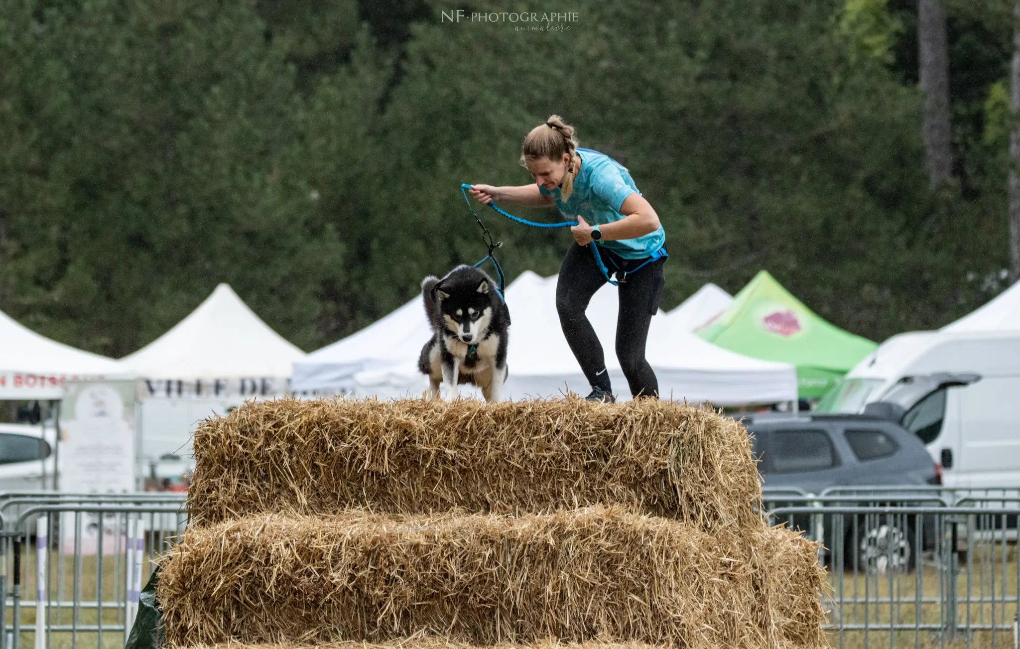 Cani-Parcours - Édition 2024 - Canifun