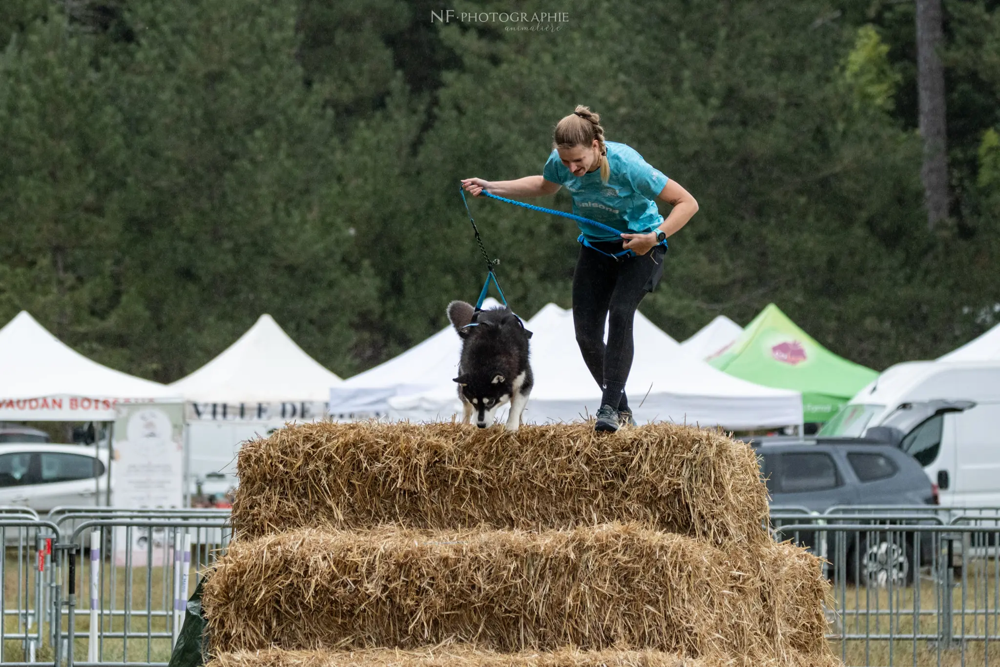 Cani-Parcours - Édition 2024 - Canifun