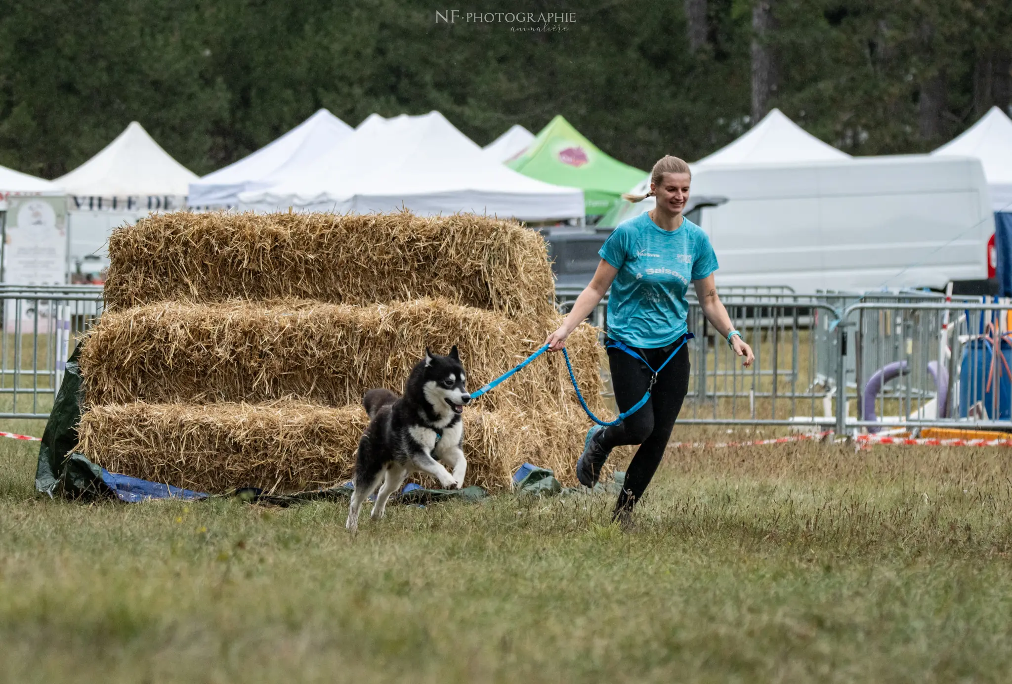 Cani-Parcours - Édition 2024 - Canifun