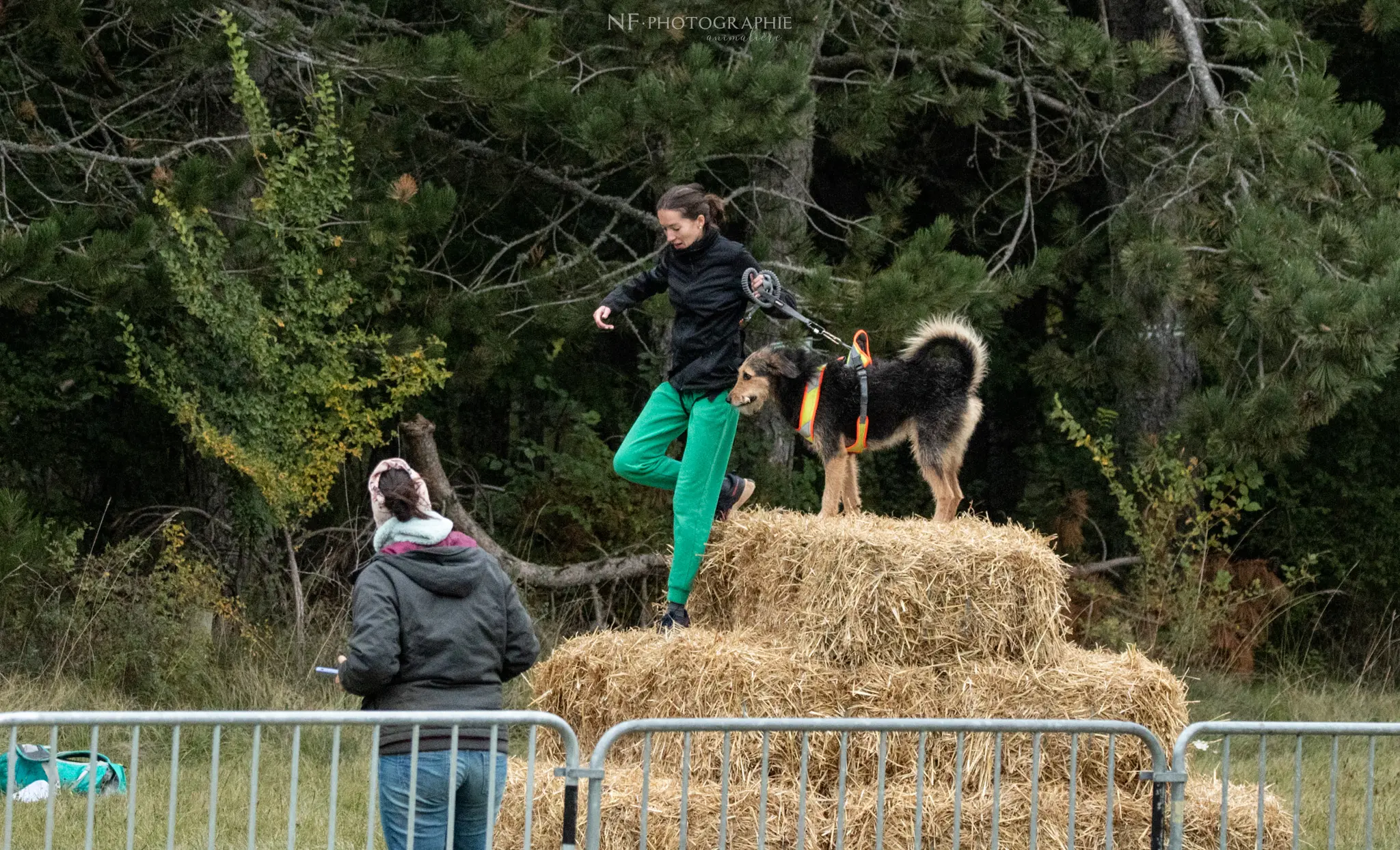 Cani-Parcours - Édition 2024 - Canifun