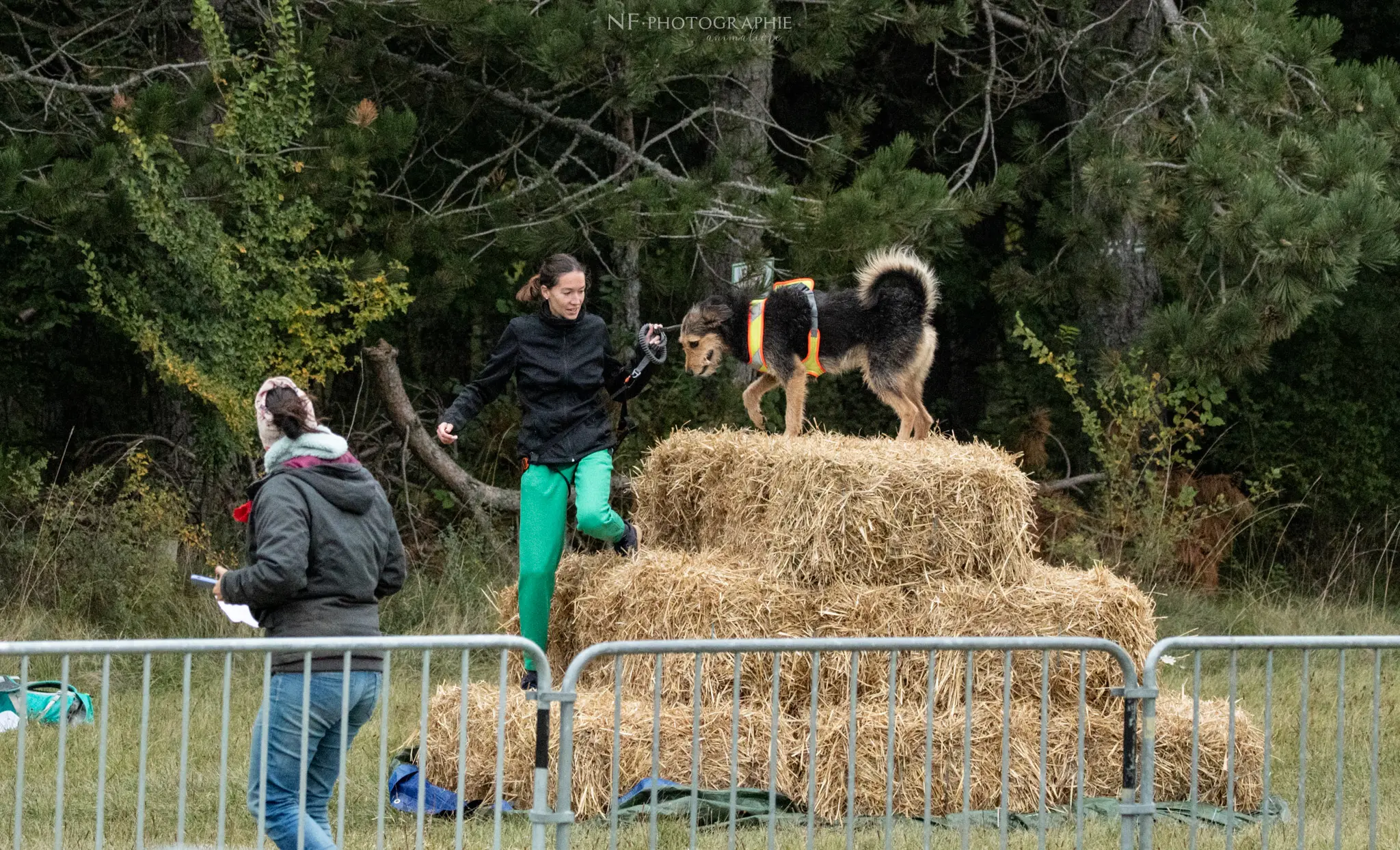 Cani-Parcours - Édition 2024 - Canifun