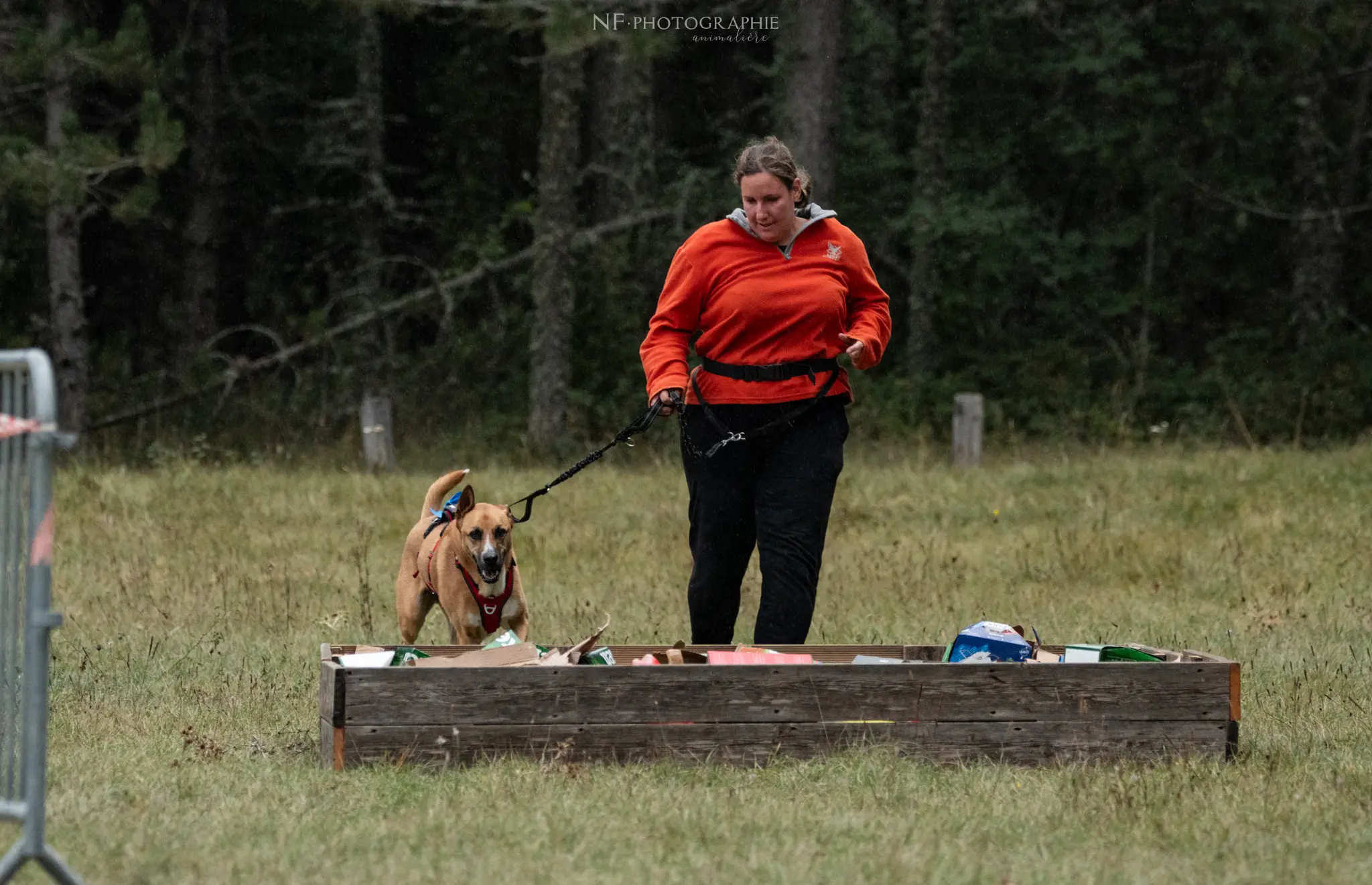 Cani-Parcours - Édition 2024 - Canifun