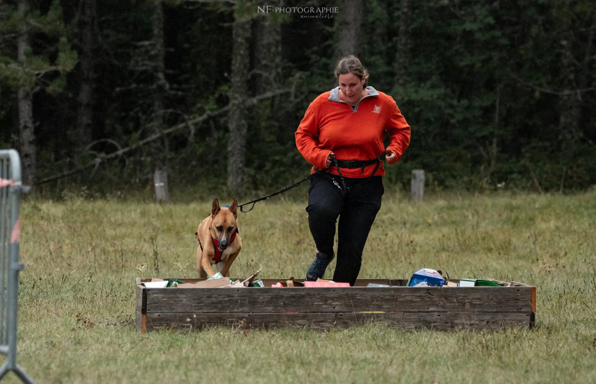 Cani-Parcours - Édition 2024 - Canifun