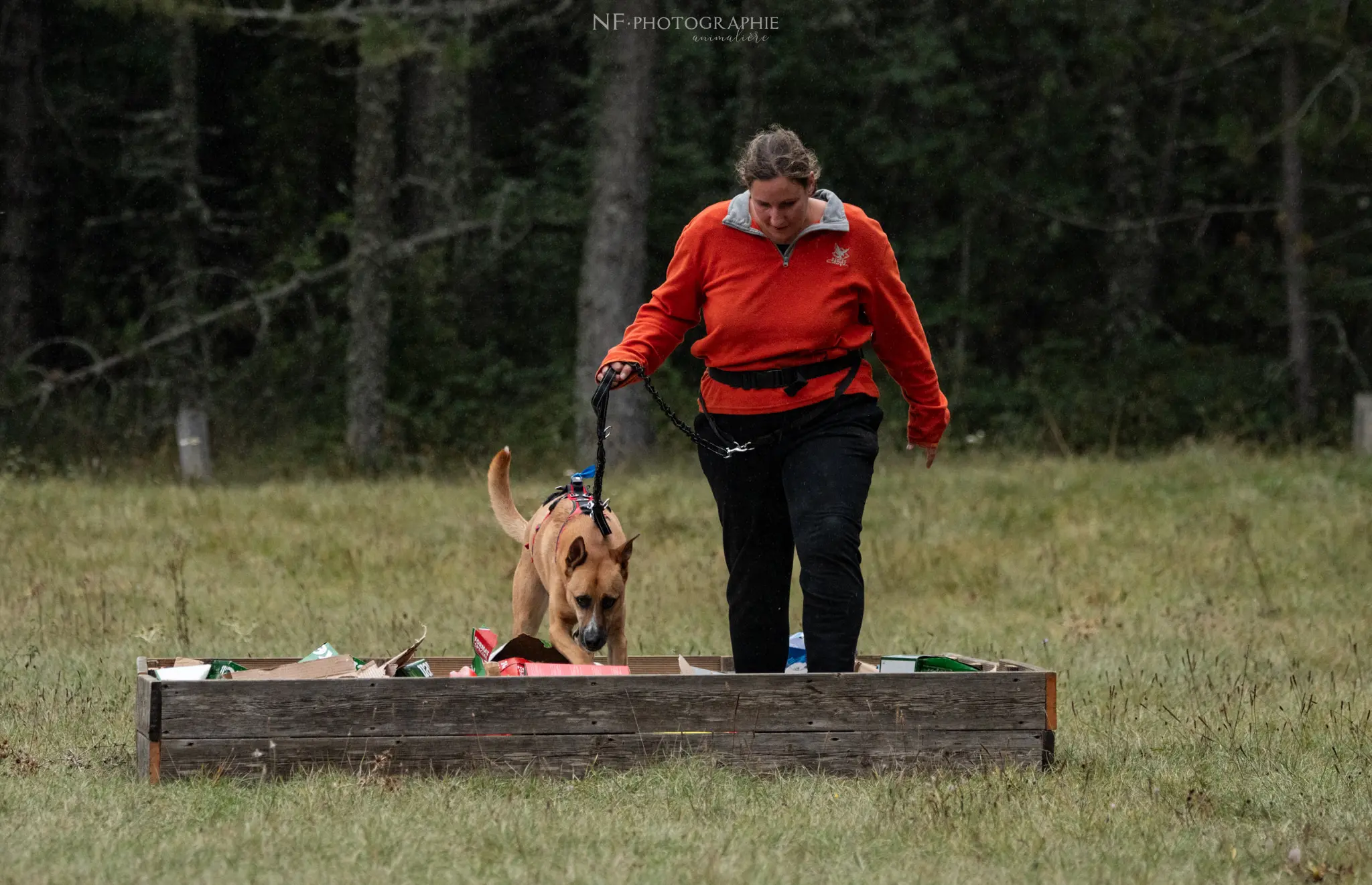 Cani-Parcours - Édition 2024 - Canifun