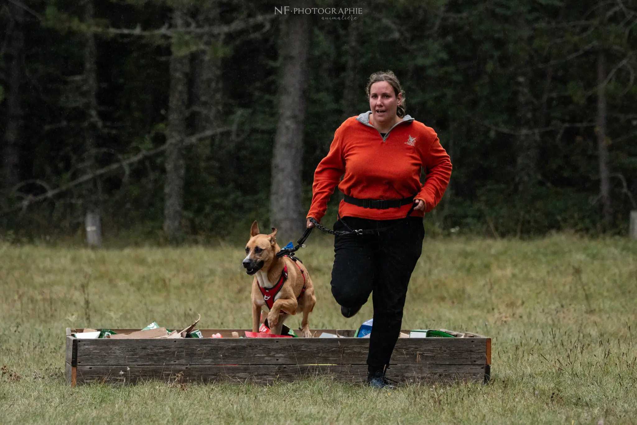 Cani-Parcours - Édition 2024 - Canifun