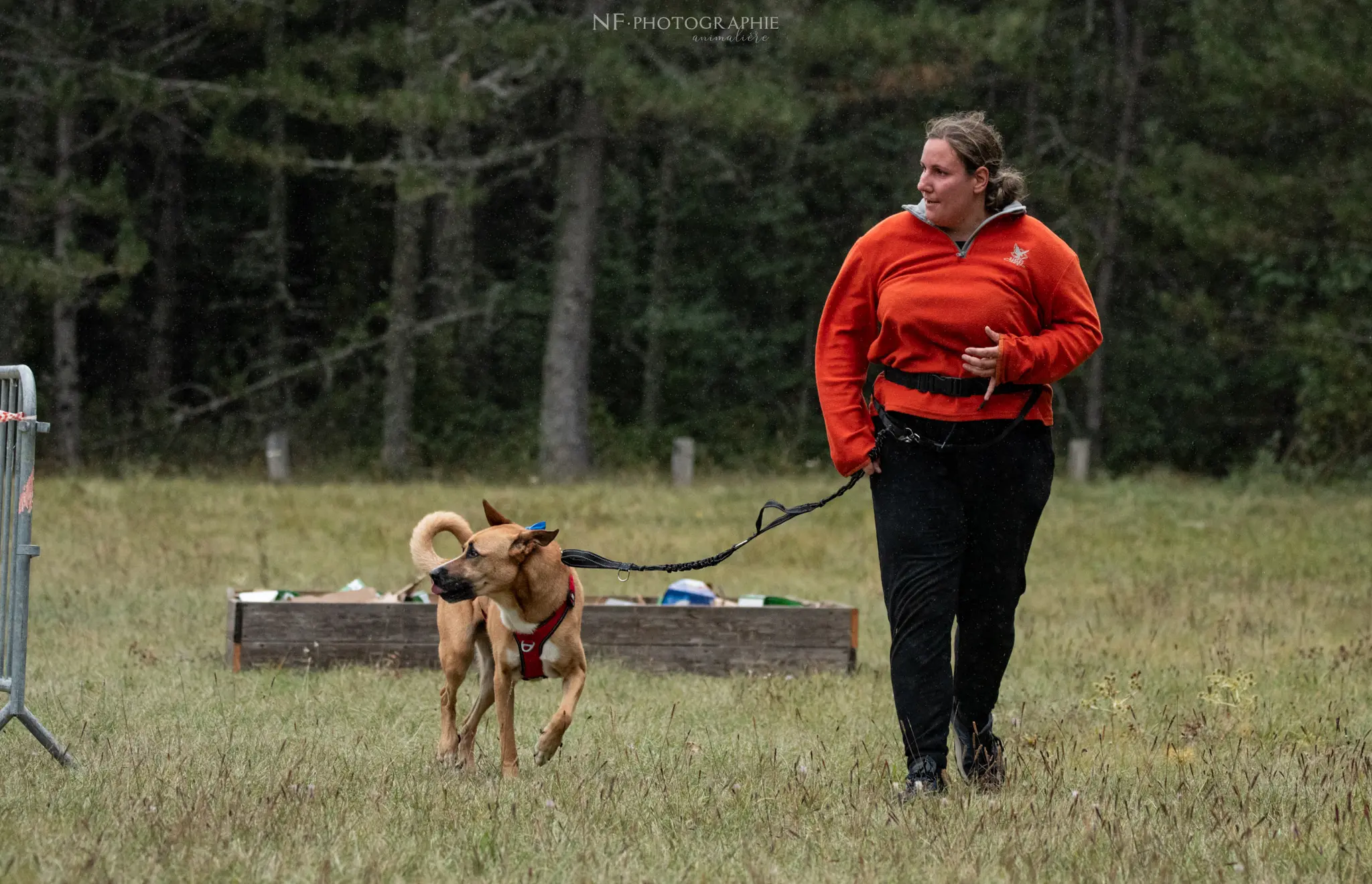 Cani-Parcours - Édition 2024 - Canifun